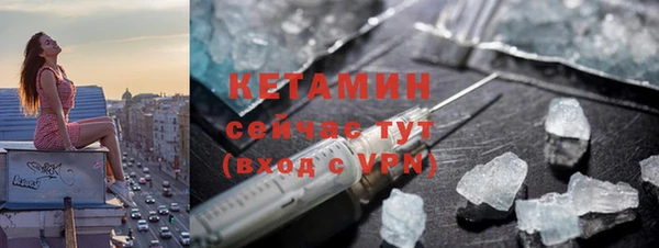 сатива Зерноград
