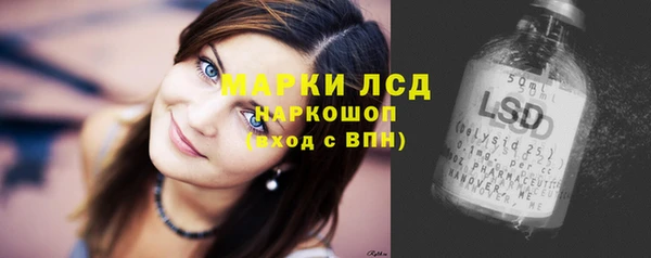 сатива Зерноград