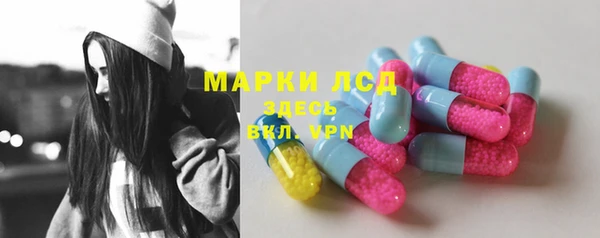 сатива Зерноград