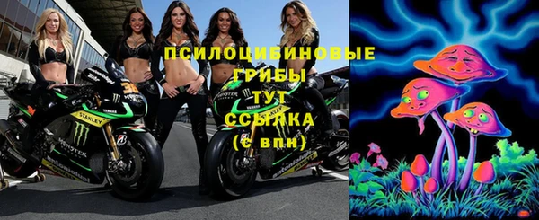 сатива Зерноград