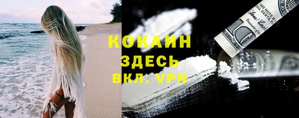 сатива Зерноград