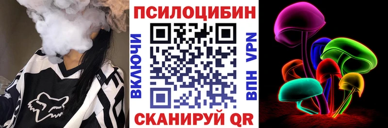 купить   Пучеж  Псилоцибиновые грибы Cubensis 